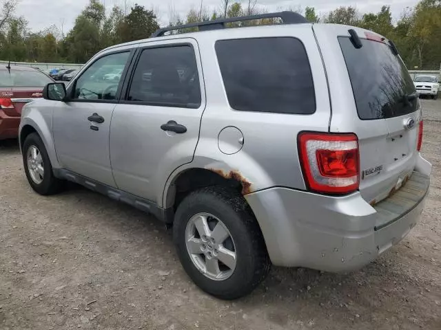 2010 Ford Escape XLT