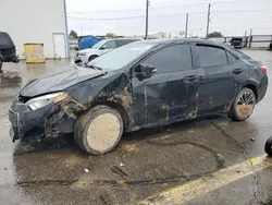 Salvage cars for sale at Nampa, ID auction: 2014 Toyota Corolla L