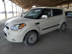 Salvage cars for sale at Phoenix, AZ auction: 2011 KIA Soul +