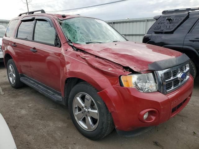 2011 Ford Escape XLT