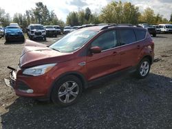 Salvage cars for sale from Copart Portland, OR: 2014 Ford Escape SE