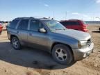 2008 Chevrolet Trailblazer LS