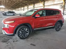 Salvage cars for sale at Phoenix, AZ auction: 2023 Hyundai Santa FE SEL Premium