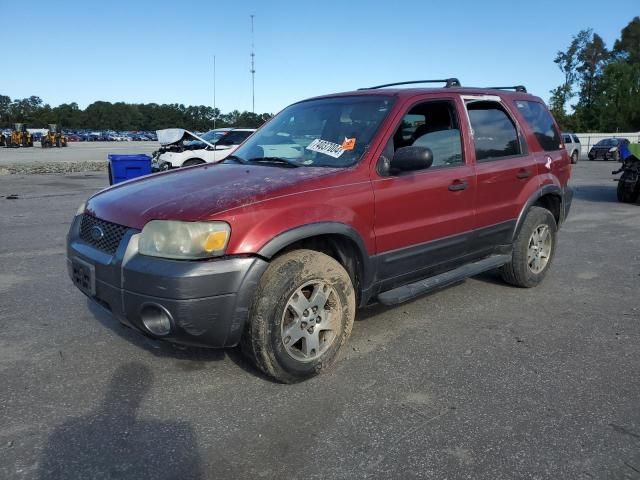 2005 Ford Escape XLT