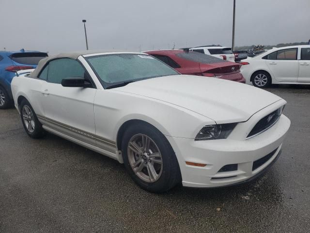 2013 Ford Mustang