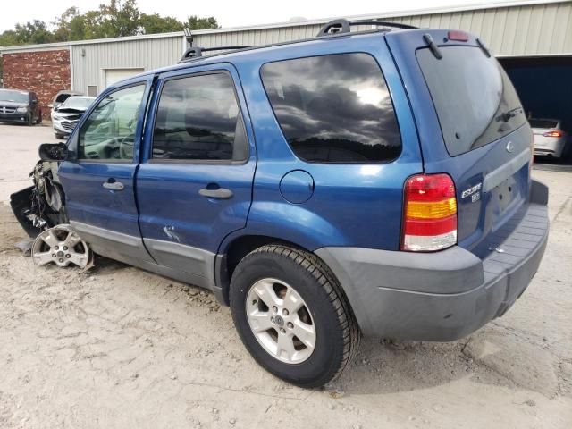 2007 Ford Escape XLT