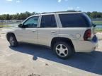 2009 Chevrolet Trailblazer LT