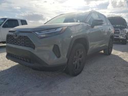 Salvage cars for sale at Arcadia, FL auction: 2023 Toyota Rav4 XLE