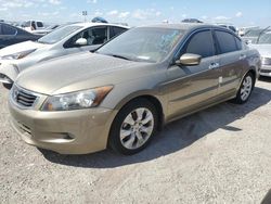 2010 Honda Accord EXL en venta en Arcadia, FL