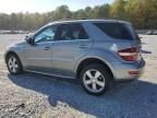 2010 Mercedes-Benz ML 350 4matic