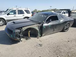 Vehiculos salvage en venta de Copart Indianapolis, IN: 2022 Dodge Challenger R/T