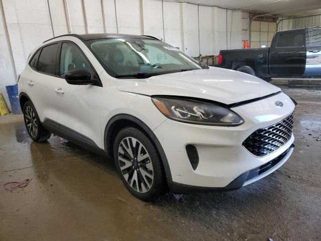 2020 Ford Escape SE Sport