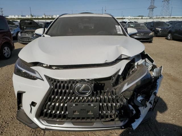 2025 Lexus NX 350 Base