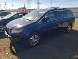 Salvage cars for sale at Elgin, IL auction: 2015 Honda Odyssey EXL