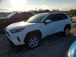 Toyota salvage cars for sale: 2021 Toyota Rav4 XLE