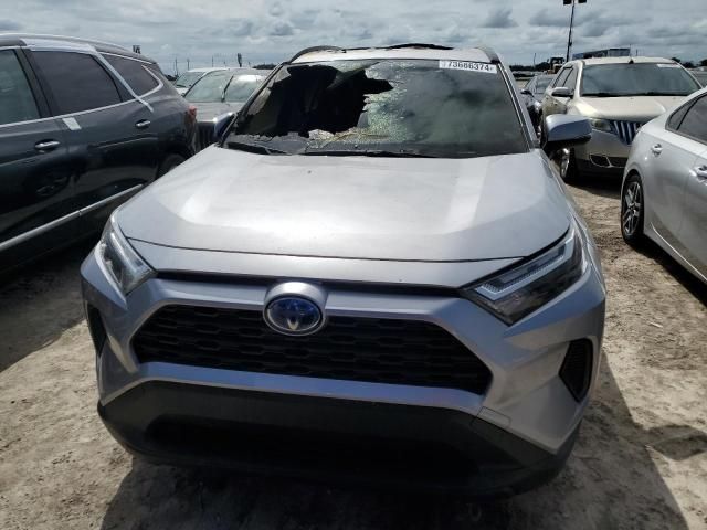 2023 Toyota Rav4 XLE