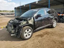 2019 Toyota Rav4 XLE en venta en Colorado Springs, CO