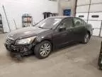 2011 Honda Accord EX