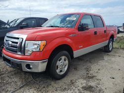 2011 Ford F150 Supercrew en venta en Riverview, FL