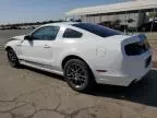 2013 Ford Mustang