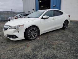 Salvage cars for sale at Elmsdale, NS auction: 2015 Acura TLX Advance