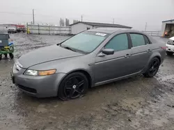 Acura salvage cars for sale: 2005 Acura TL