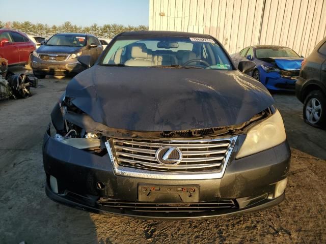 2010 Lexus ES 350