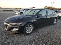 Salvage cars for sale at Riverview, FL auction: 2019 Chevrolet Malibu LT