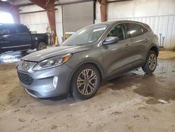 Salvage cars for sale at Lansing, MI auction: 2022 Ford Escape SEL