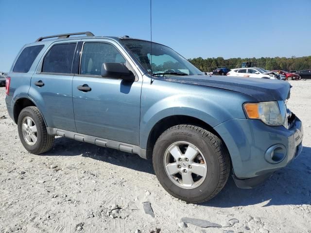 2010 Ford Escape XLT