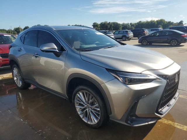 2023 Lexus NX 350