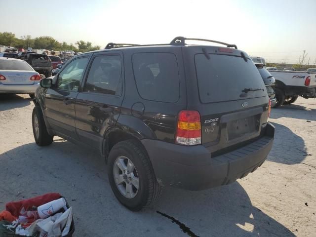 2007 Ford Escape XLT