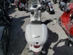 2019 Vespa Scooter