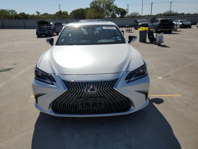 2019 Lexus ES 350