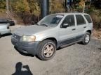 2004 Ford Escape XLT