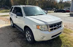 Salvage cars for sale at Loganville, GA auction: 2010 Ford Escape XLT