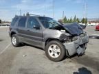 2005 Ford Escape XLT