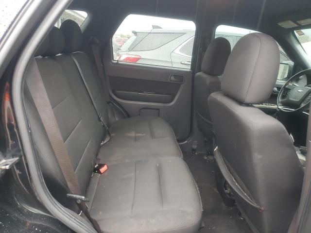 2010 Ford Escape XLT