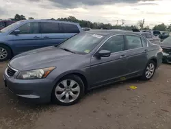 Honda salvage cars for sale: 2010 Honda Accord EXL