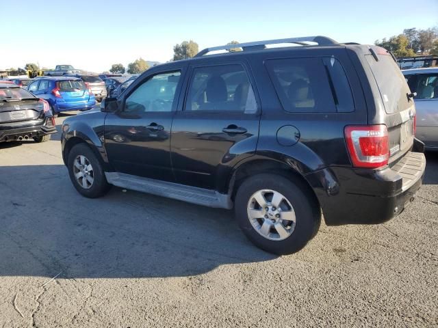 2009 Ford Escape Hybrid