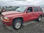 2000 Dodge Durango