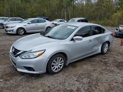 Nissan Altima Vehiculos salvage en venta: 2016 Nissan Altima 2.5