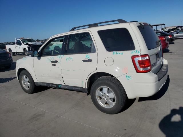 2011 Ford Escape XLT