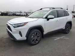 Toyota rav4 xle Premium salvage cars for sale: 2024 Toyota Rav4 XLE Premium