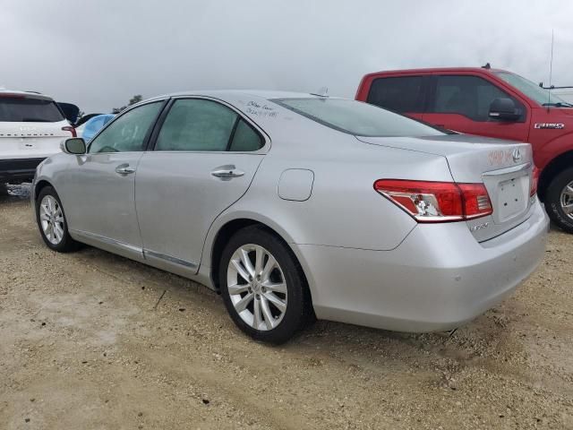 2010 Lexus ES 350