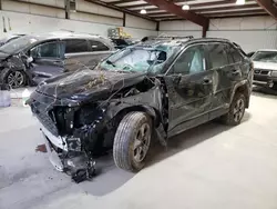 Salvage cars for sale at auction: 2024 Toyota Rav4 XLE