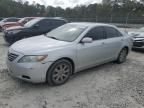 2009 Toyota Camry Hybrid