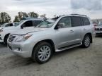 2011 Lexus LX 570