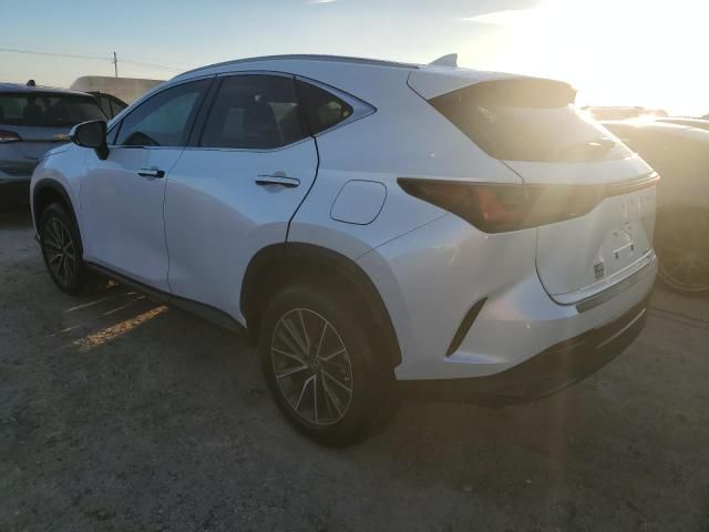 2024 Lexus NX 350H Base