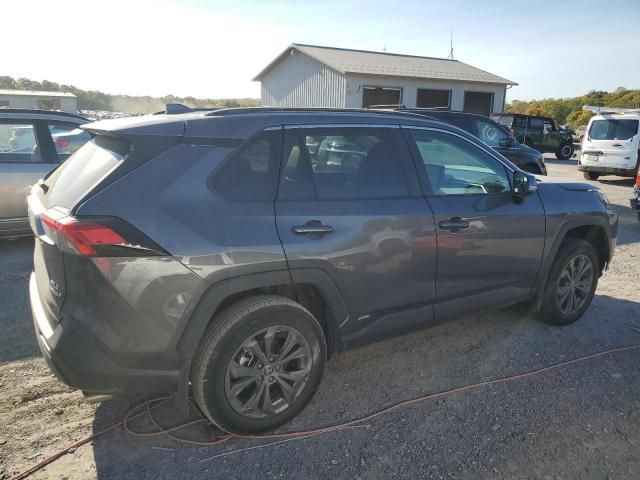 2024 Toyota Rav4 XLE Premium